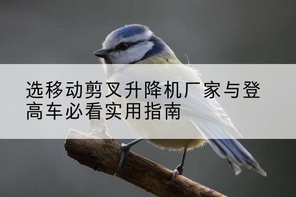 海拉尔电动升降机厂家-选移动剪叉升降机厂家与登高车必看实用指南