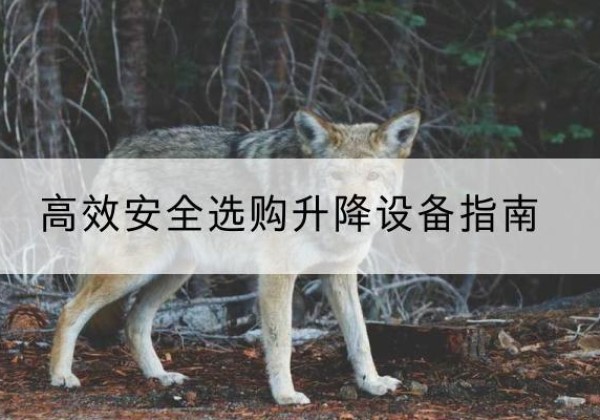海拉尔升降货梯厂家推荐-*安全选购升降设备指南